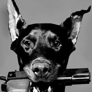 Meet your Posher, Brad